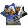 Lot de protèges cartes RFID BG SECURE
